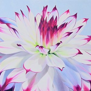 large flower painting of a dahlia with bright pink edges