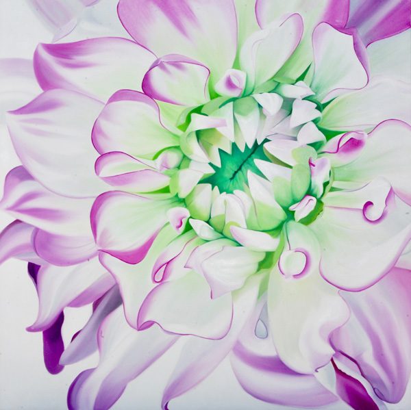 large floral painting of a dahlia flower with pink edges and a green center