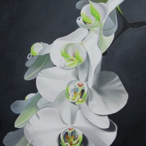 black and white oil painting, flower painting of Orchids