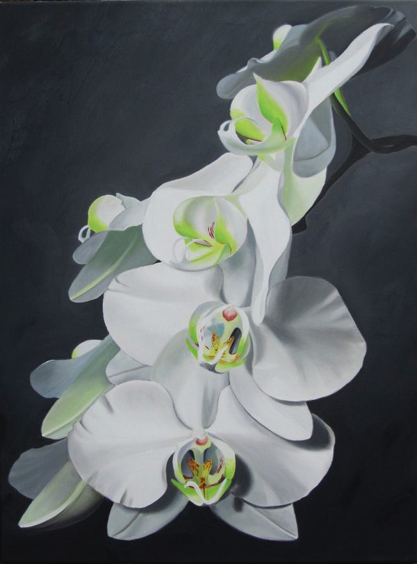 black and white oil painting, flower painting of Orchids