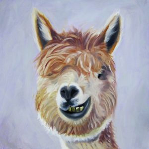 oil painting of a Alpaca on grey background