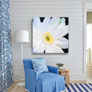 large oil painting of a Gerber daisy