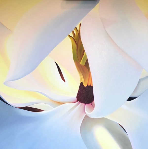 oil painting of a magnolia flower, original artwork of a flower. large floral painting