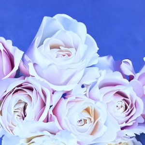 large flower oil painting of white and pink roses