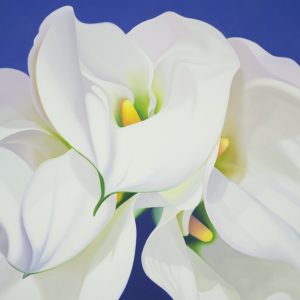 oil painting of white Calla Lilies, spiritual artwork, large beautiful white and blue painting