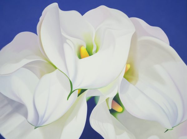 oil painting of white Calla Lilies, spiritual artwork, large beautiful white and blue painting