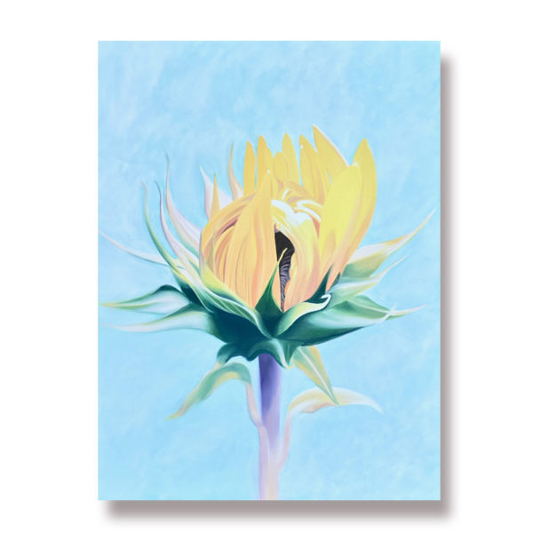 A yellow sunflower opening on a turquise background, colorful sunflower flower oil painting perfect living room bedroom or kitchen