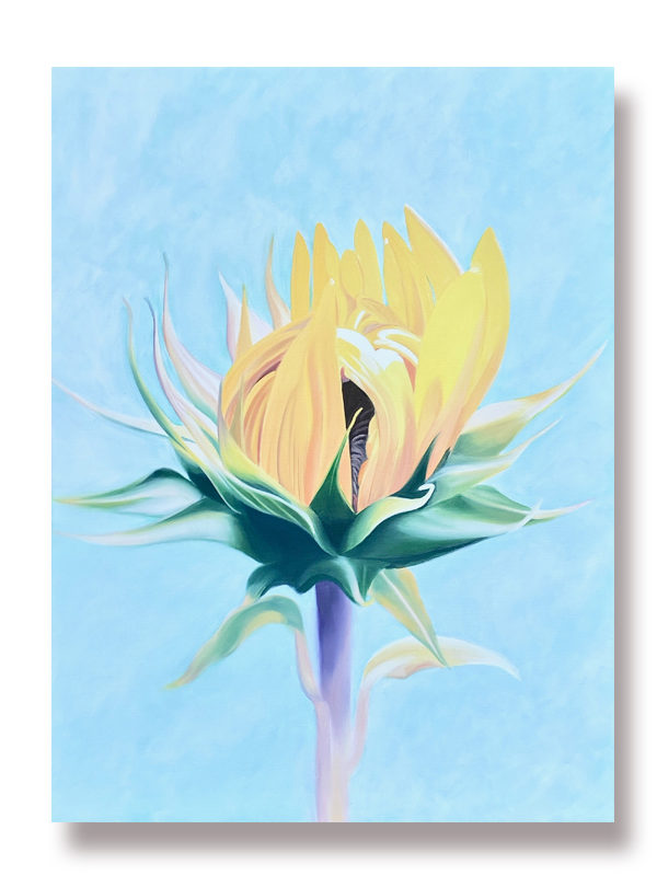 A yellow sunflower opening on a turquise background, colorful sunflower flower oil painting perfect living room bedroom or kitchen