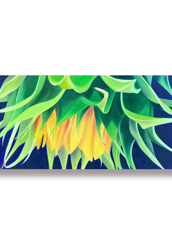 A oil painting of a closeup of a sunflower, yellow and blue and green painting of a sunflower