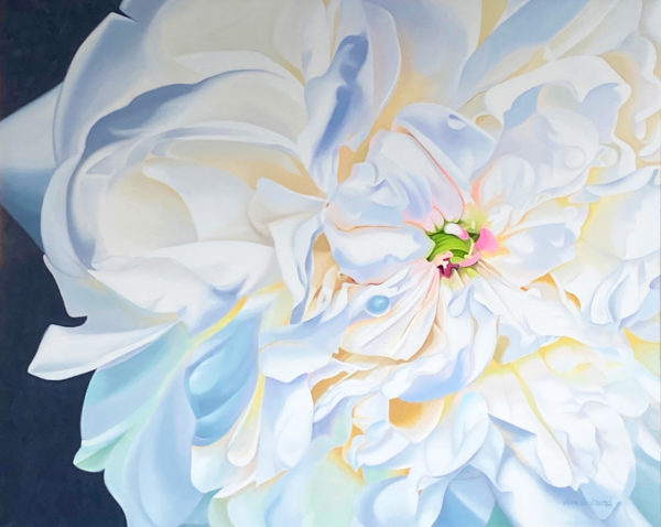 Oil painting of a large white peony
