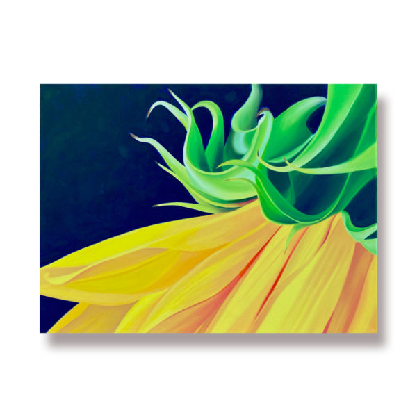 A close up of a sunflower, artwork of a yellow sunflower, colorful artwork for kitchen or living room or bedroom