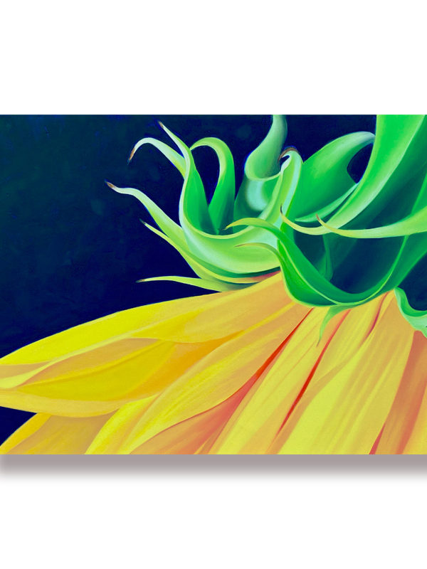 A close up of a sunflower, artwork of a yellow sunflower, colorful artwork for kitchen or living room or bedroom