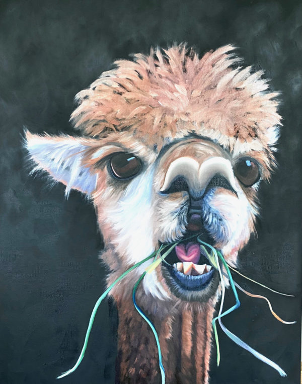 oil painting of an Alpaca