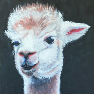 close up of Alpaca painting