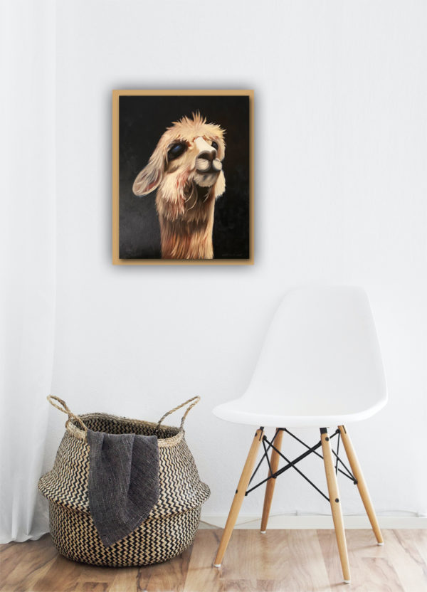 brown Alpaca in a mockup white contemporary room