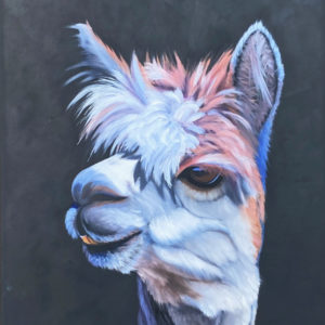 Close up of Alpaca painting