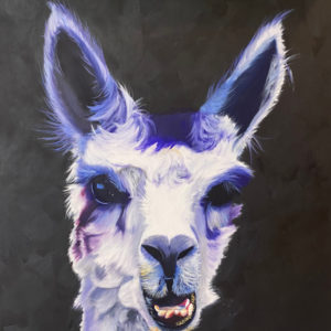 close up of Alpaca face with purple