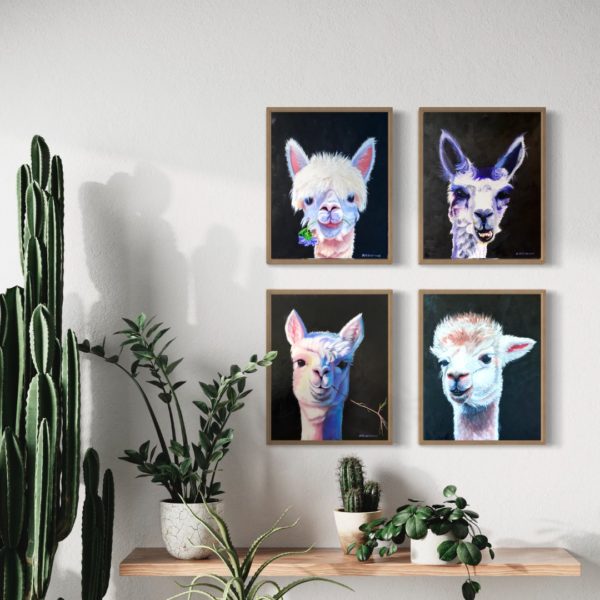 4 paintings of Alpacas