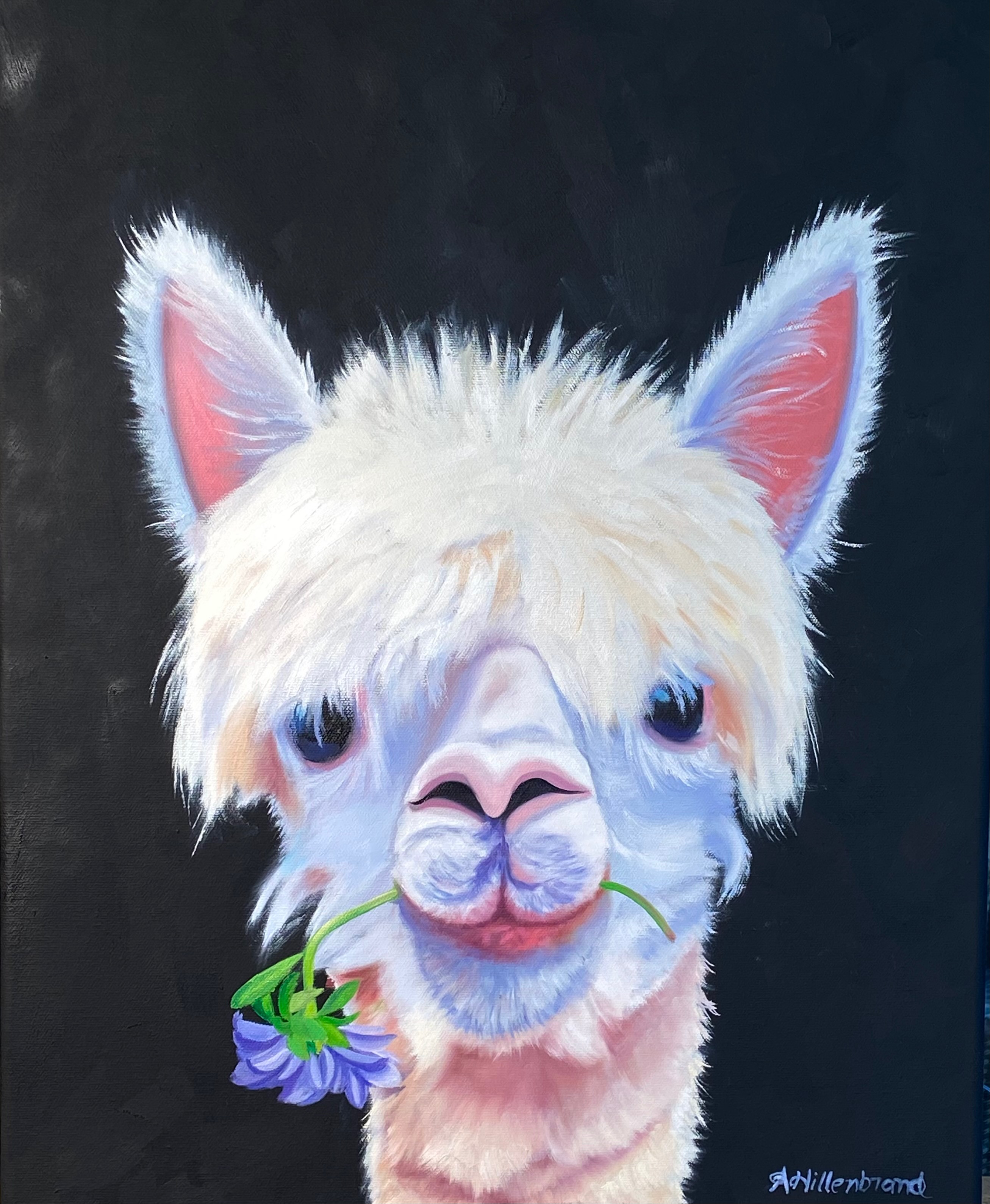 Close up of a painted Alpaca just of the face of the Alpaca